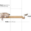 Wall Mounted Cat Feeding Shelf Cat shelves/bed Catastrophic Creations