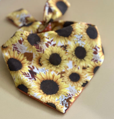 Sunflower Dog Bandana Dog Bandana Happy Tails Outfitters