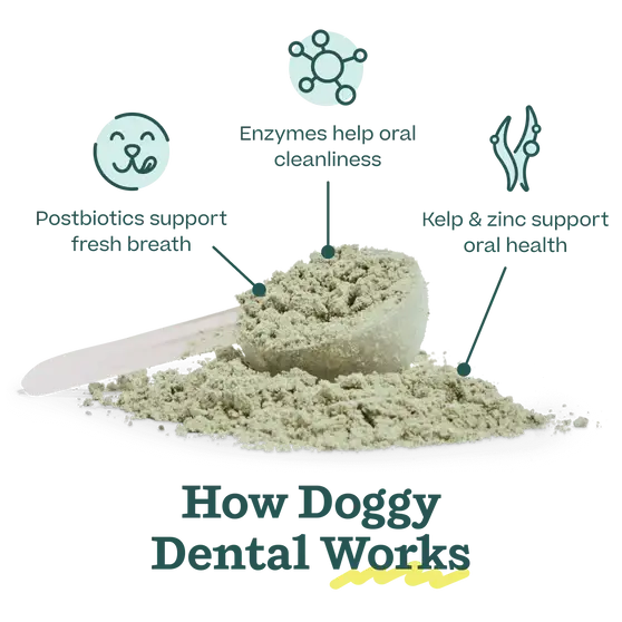 Pupsicle Mix- Doggy Dental Woof