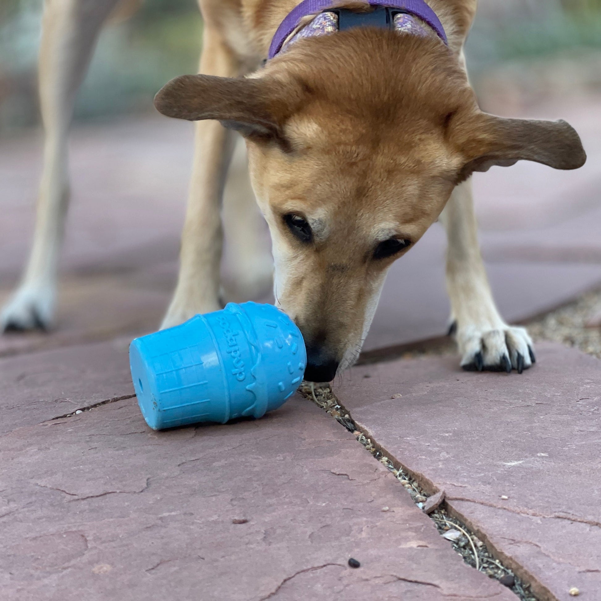 Ice Cream Cone Rubber Dog Chew Toy for Power Chewers | USA Made | SodaPup Rubber Dog Toys SodaPup/True Dogs, LLC