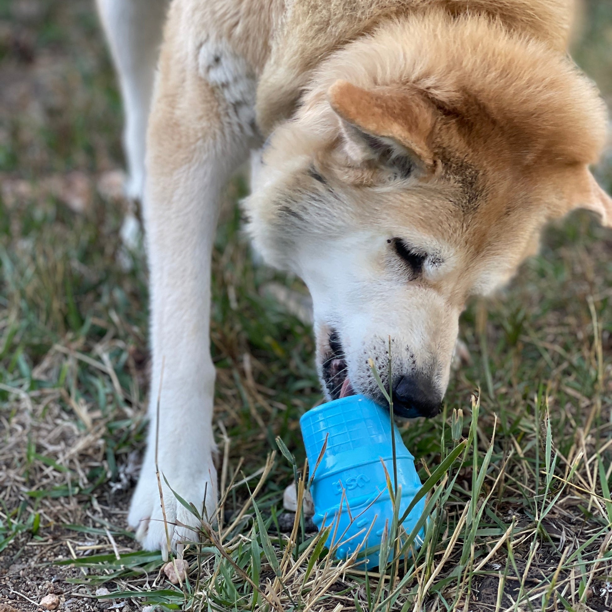 Ice Cream Cone Rubber Dog Chew Toy for Power Chewers | USA Made | SodaPup Rubber Dog Toys SodaPup/True Dogs, LLC