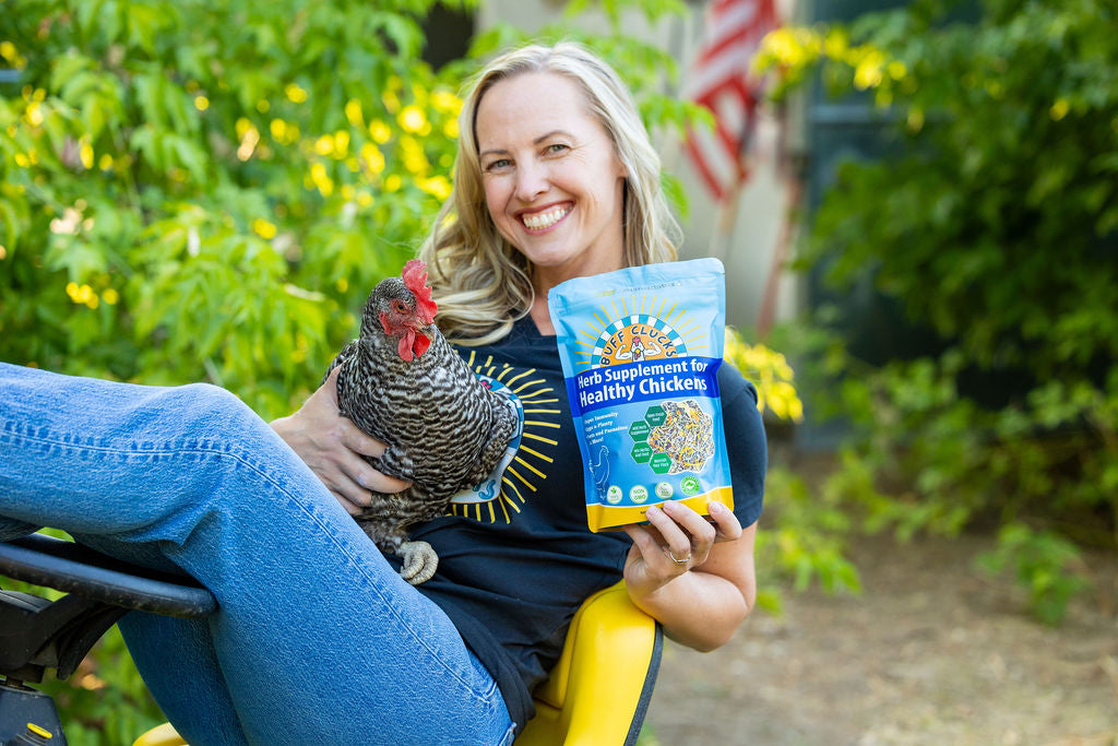 Herb Supplement For Backyard Chickens Chicken Treat Buff Clucks