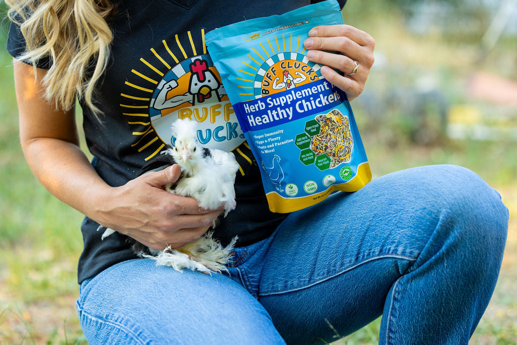 Herb Supplement For Backyard Chickens Chicken Treat Buff Clucks