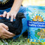 Herb Supplement For Backyard Chickens Chicken Treat Buff Clucks