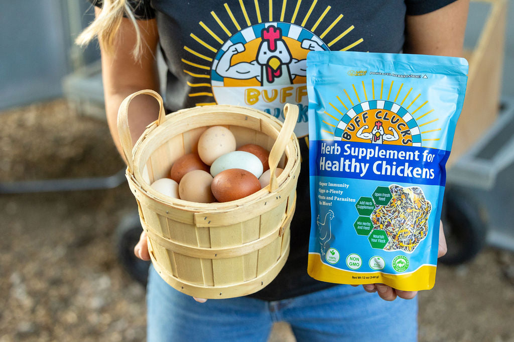 Herb Supplement For Backyard Chickens Chicken Treat Buff Clucks