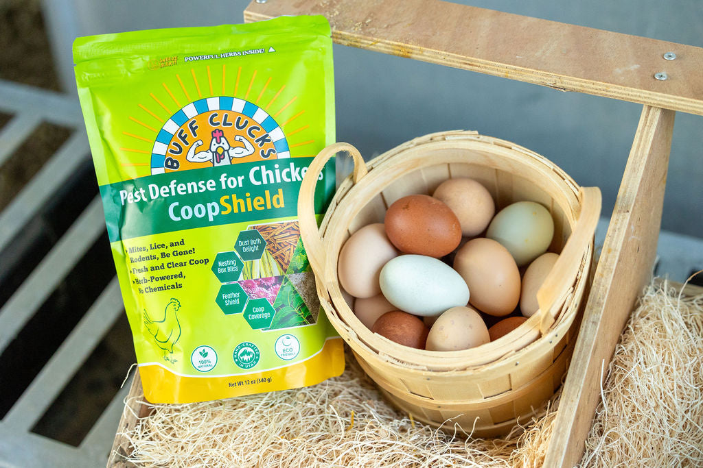 CoopShield—Herbal Pest Defense for Chickens Buff Clucks