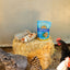 Herb Supplement For Backyard Chickens Chicken Treat Buff Clucks