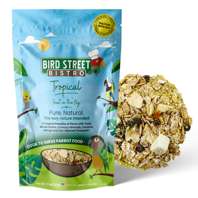 Tropical - Feast on the Fly Parrot Food Bird Street Bistro