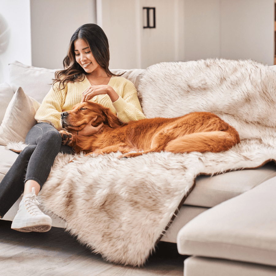 PupProtector™ Waterproof Throw Blanket - White with Brown Accents Dog Blanket Paw.com