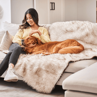 PupProtector™ Waterproof Throw Blanket - White with Brown Accents Dog Blanket Paw.com