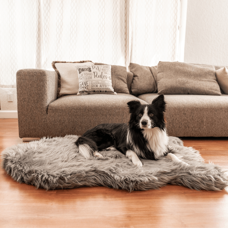 PupRug by Paw.com® Faux Fur Orthopedic Dog Bed - Curve Charcoal Grey Large (50" L x 30" W) Dog Beds Paw