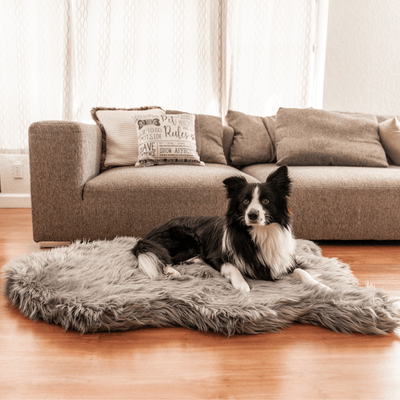PupRug by Paw.com® Faux Fur Orthopedic Dog Bed - Curve Charcoal Grey Large (50" L x 30" W) Dog Beds Paw