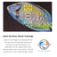 Flipper Aquarium Mat with Tang Artwork Flipper Aquarium Products