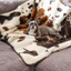 PupProtector™ Waterproof Throw Blanket - Brown Faux Cowhide Dog Blanket Paw.com