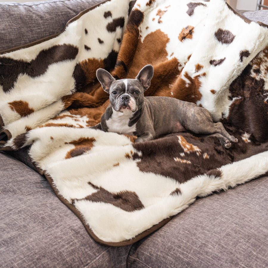 PupProtector™ Waterproof Throw Blanket - Brown Faux Cowhide Dog Blanket Paw.com