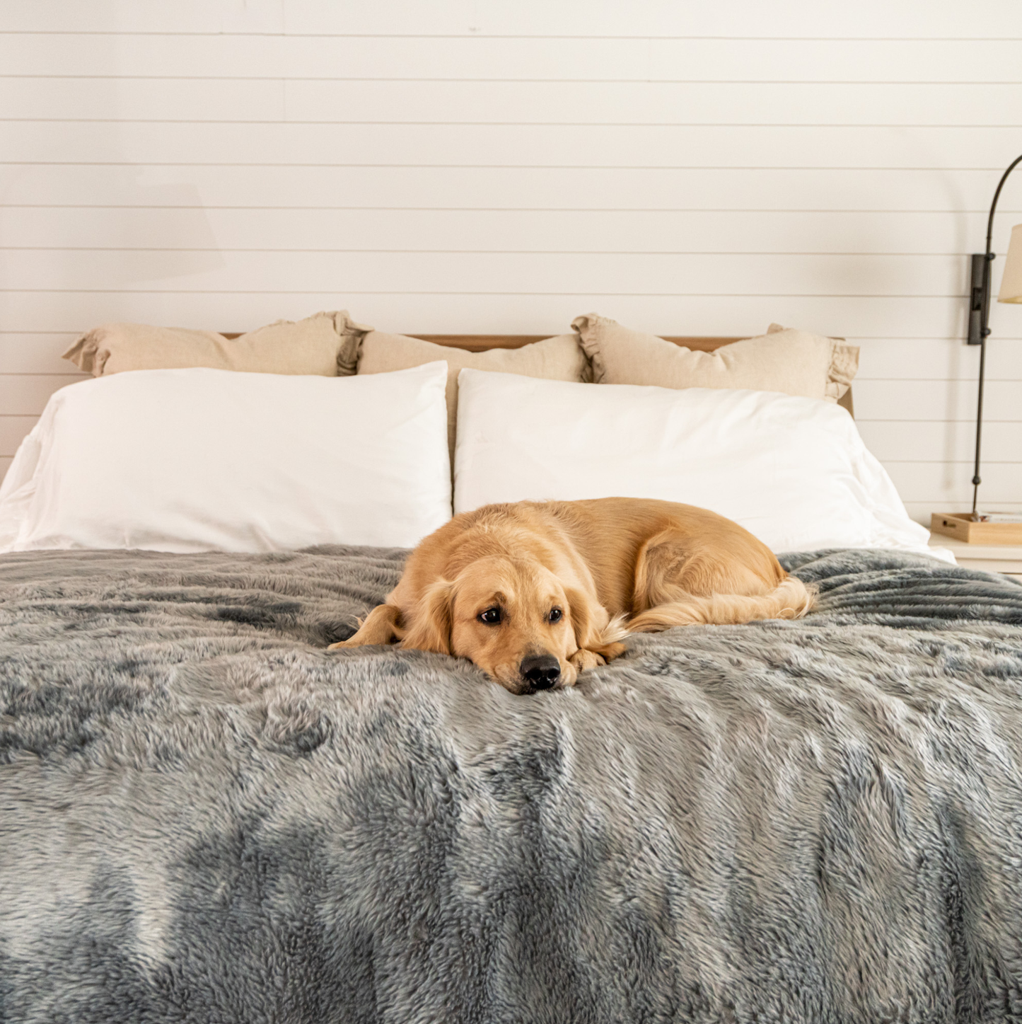 PupProtector™ Summer Short Fur Waterproof Throw Blanket - Charcoal Grey Dog Blanket Paw.com