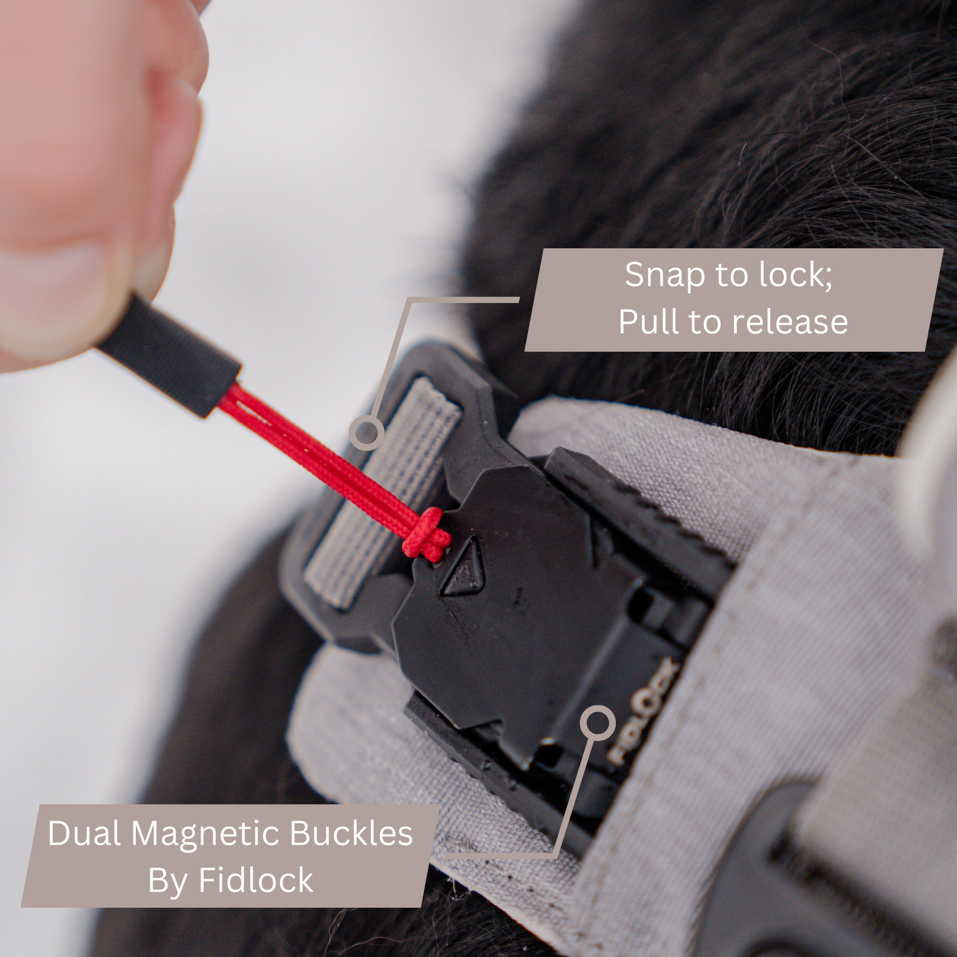 Magnetic Dog Harness with Handle - Easy On, No-Pull Design Pet Harness Up Dog Shop