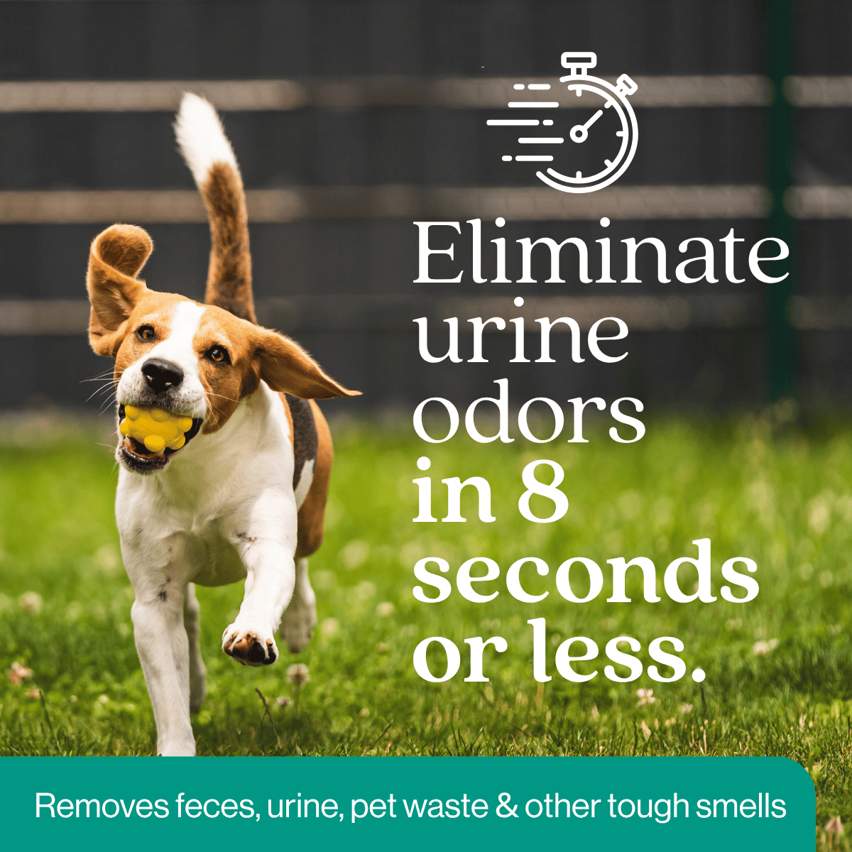 Outdoor Odor Eliminator Pet & Animal > Outdoor Odor EcoStrong