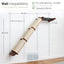 Slanted Cat Scratcher for Wall Cat Scratcher Catastrophic Creations
