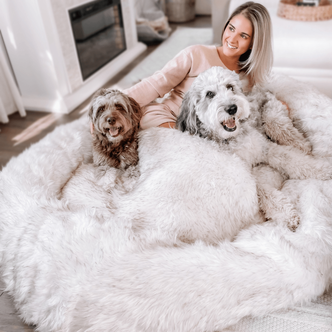PupCloud™ Human-Size Faux Fur Memory Foam Dog Bed - White with Brown Accents Paw