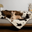 PupProtector™ Waterproof Throw Blanket - Brown Faux Cowhide Dog Blanket Paw.com