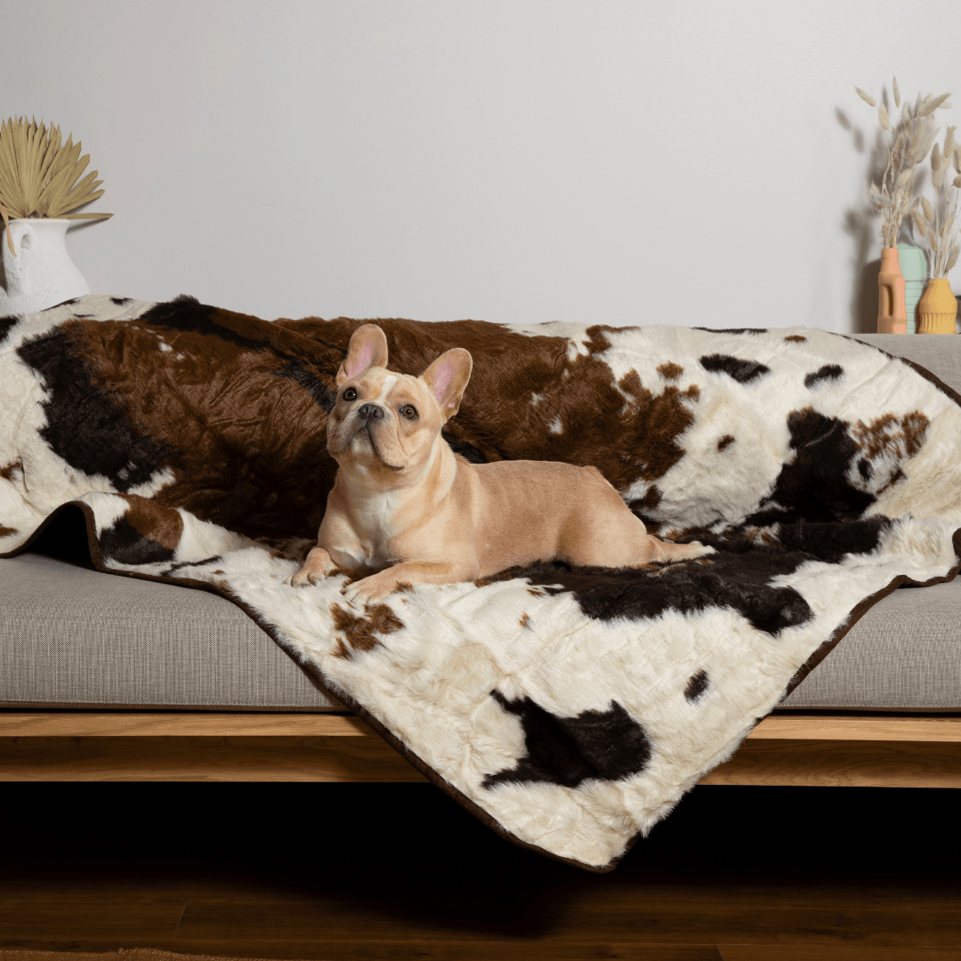 PupProtector™ Waterproof Throw Blanket - Brown Faux Cowhide Dog Blanket Paw.com