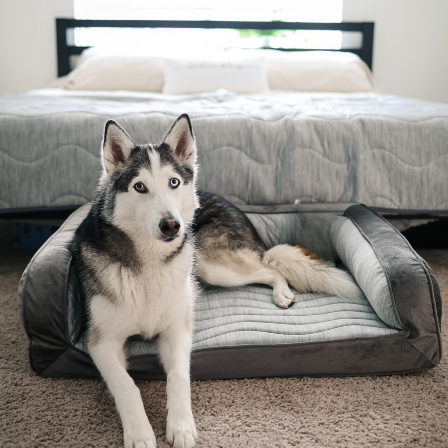 PupChill™ Cooling Bolster Dog Bed + Waterproof Blanket Bundle - Arctic Grey Paw