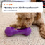 Freezstick - Indestructible Enrichment Chew Freezbone