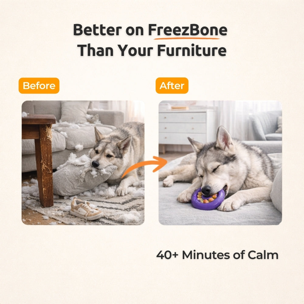Freez Doughnut - Super Durable Treat Toy Freezbone