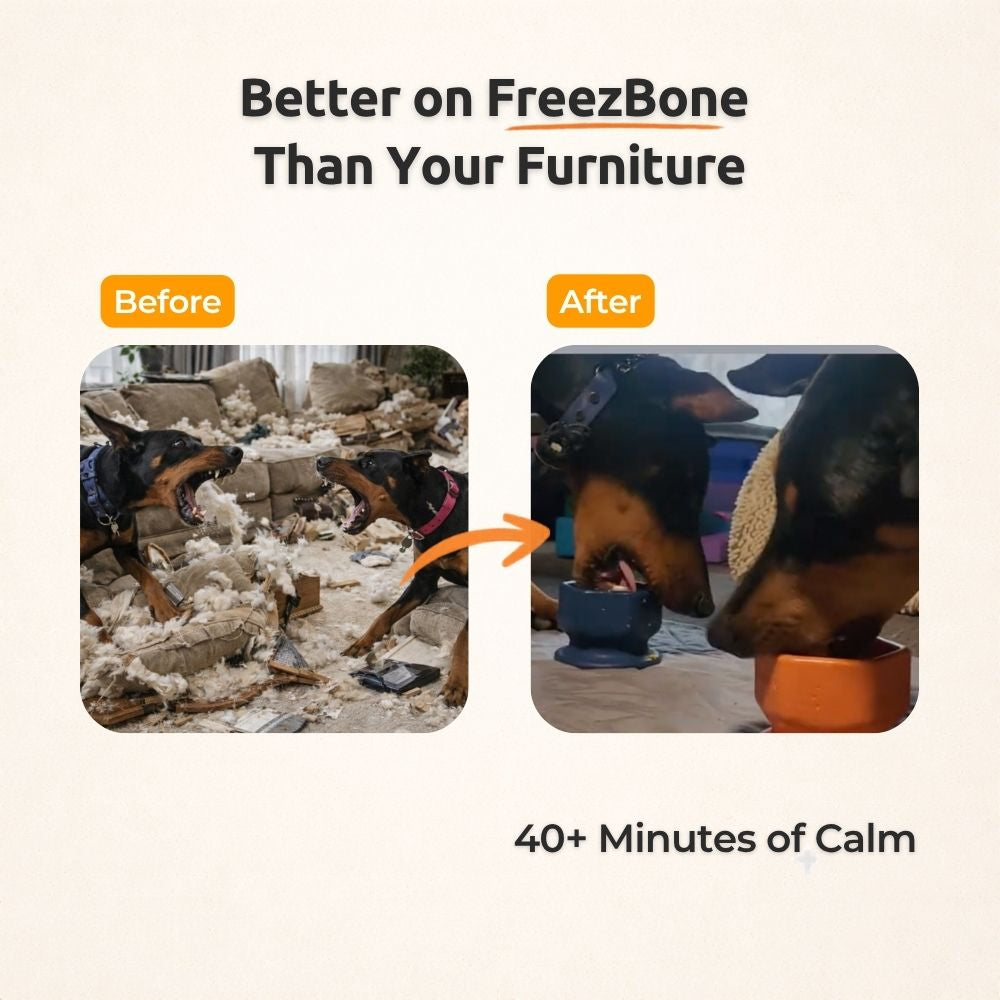 FreezCup - Long-Lasting Chew Fun Freezbone