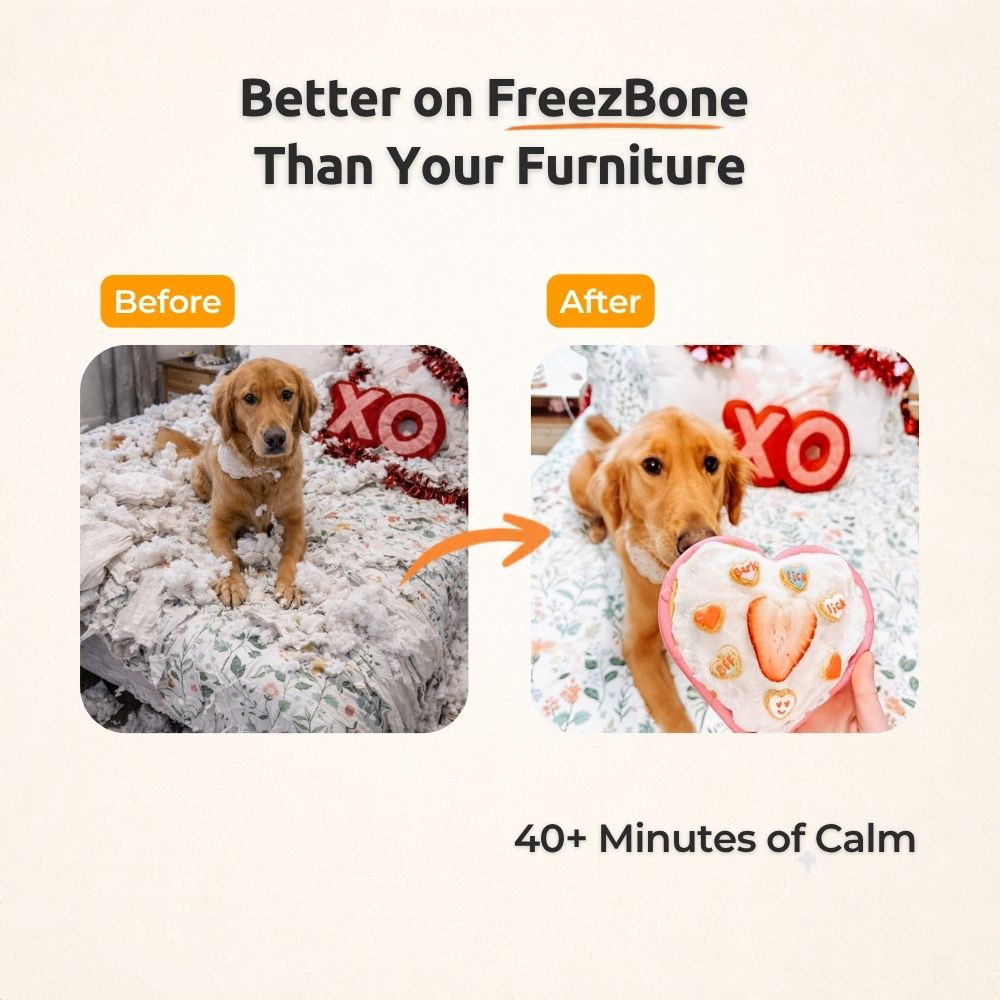 FreezHeart - Durable Heart Enrichment Chew Freezbone