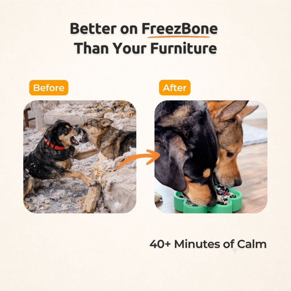 FreezShamrock - Premium Enrichment Toy Freezbone