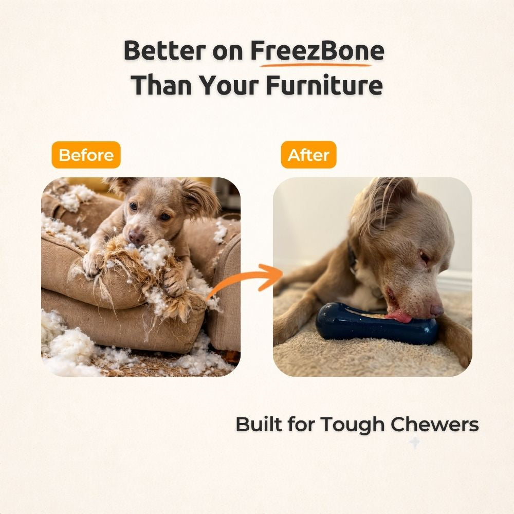 Freezstick - Indestructible Enrichment Chew Freezbone