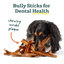 BullySafe Chews - BullySticks Woof