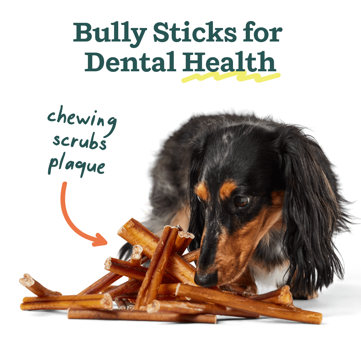 BullySafe Chews - BullySticks Woof