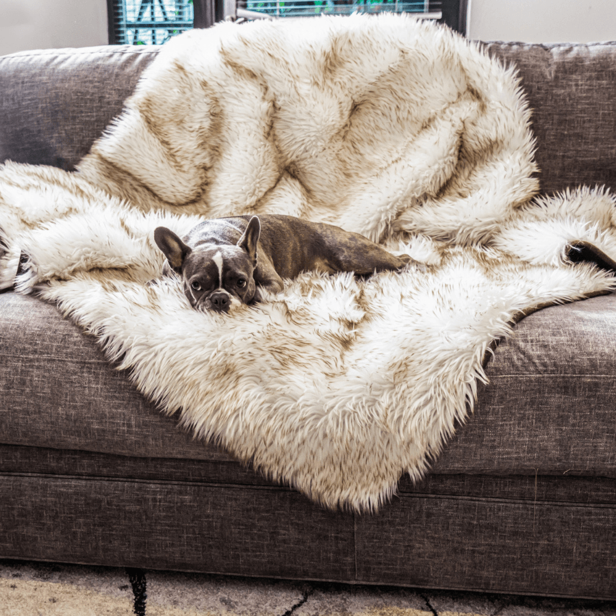PupProtector™ Waterproof Throw Blanket - White with Brown Accents Dog Blanket Paw.com