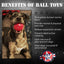 USA-K9 Stars and Stripes Rubber Dog Toy | K9 Handler Reward Toy | Red | USA Made Rubber Dog Toys SodaPup/True Dogs, LLC