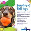 Crazy Bounce Rubber Dog Chew Toy for Power Chewers | Retrieving Ball | USA Made Rubber Dog Toys SodaPup/True Dogs, LLC
