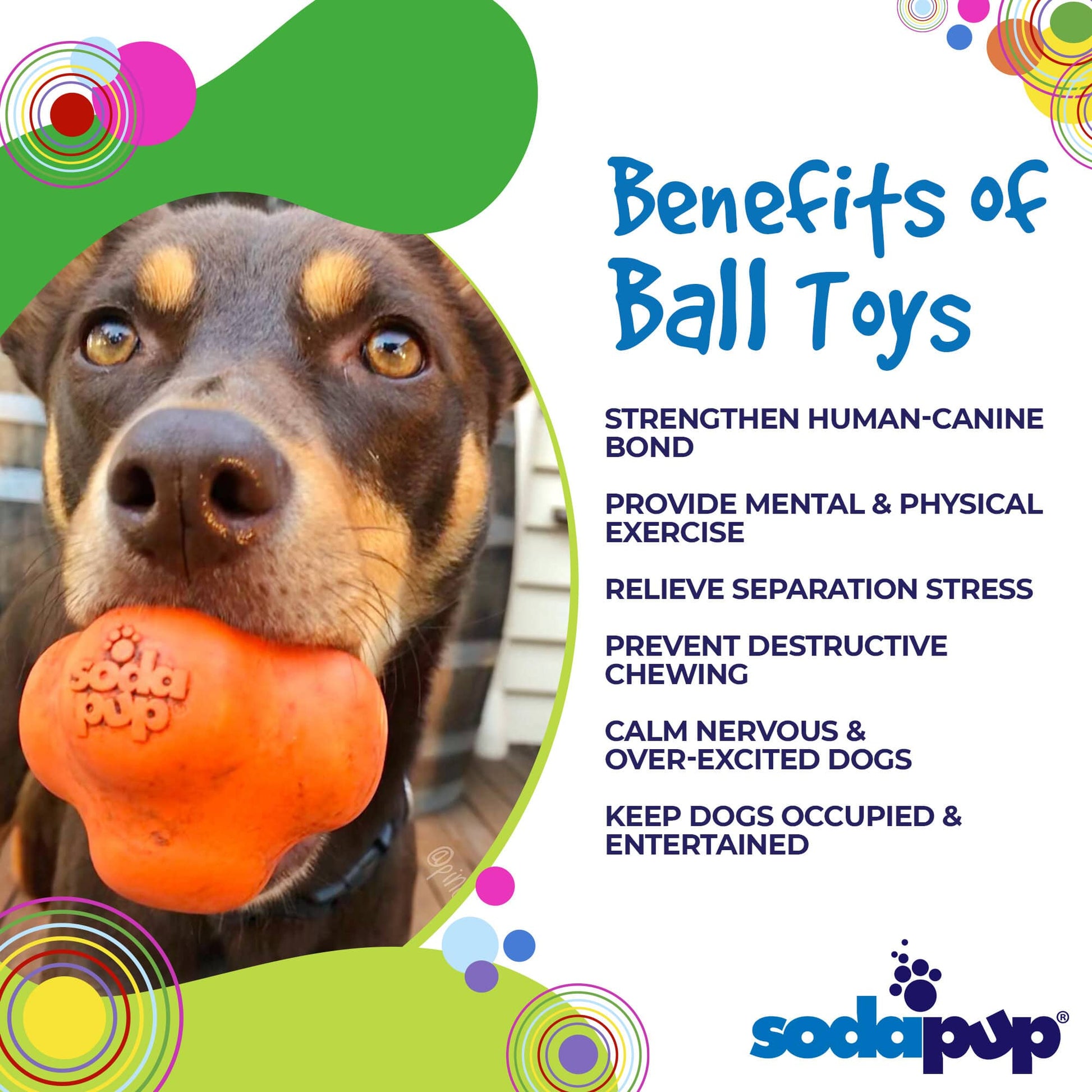 Crazy Bounce Rubber Dog Chew Toy for Power Chewers | Retrieving Ball | USA Made Rubber Dog Toys SodaPup/True Dogs, LLC