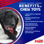 Christmas Tree Nylon Dog Chew Toy for Aggressive Chewers | USA Made & FDA Compliant Nylon Dog Toys SodaPup/True Dogs, LLC