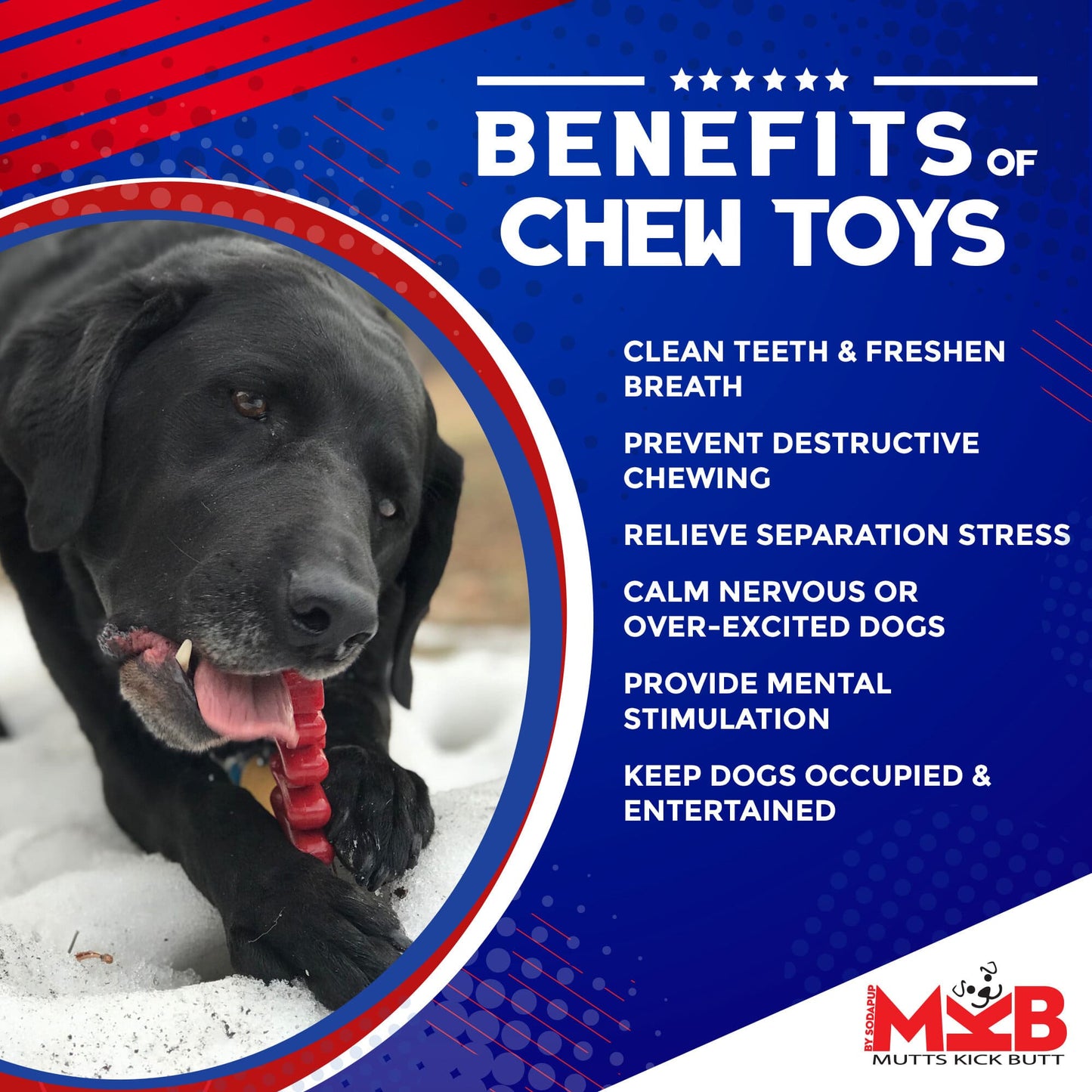Christmas Tree Nylon Dog Chew Toy for Aggressive Chewers | USA Made & FDA Compliant Nylon Dog Toys SodaPup/True Dogs, LLC