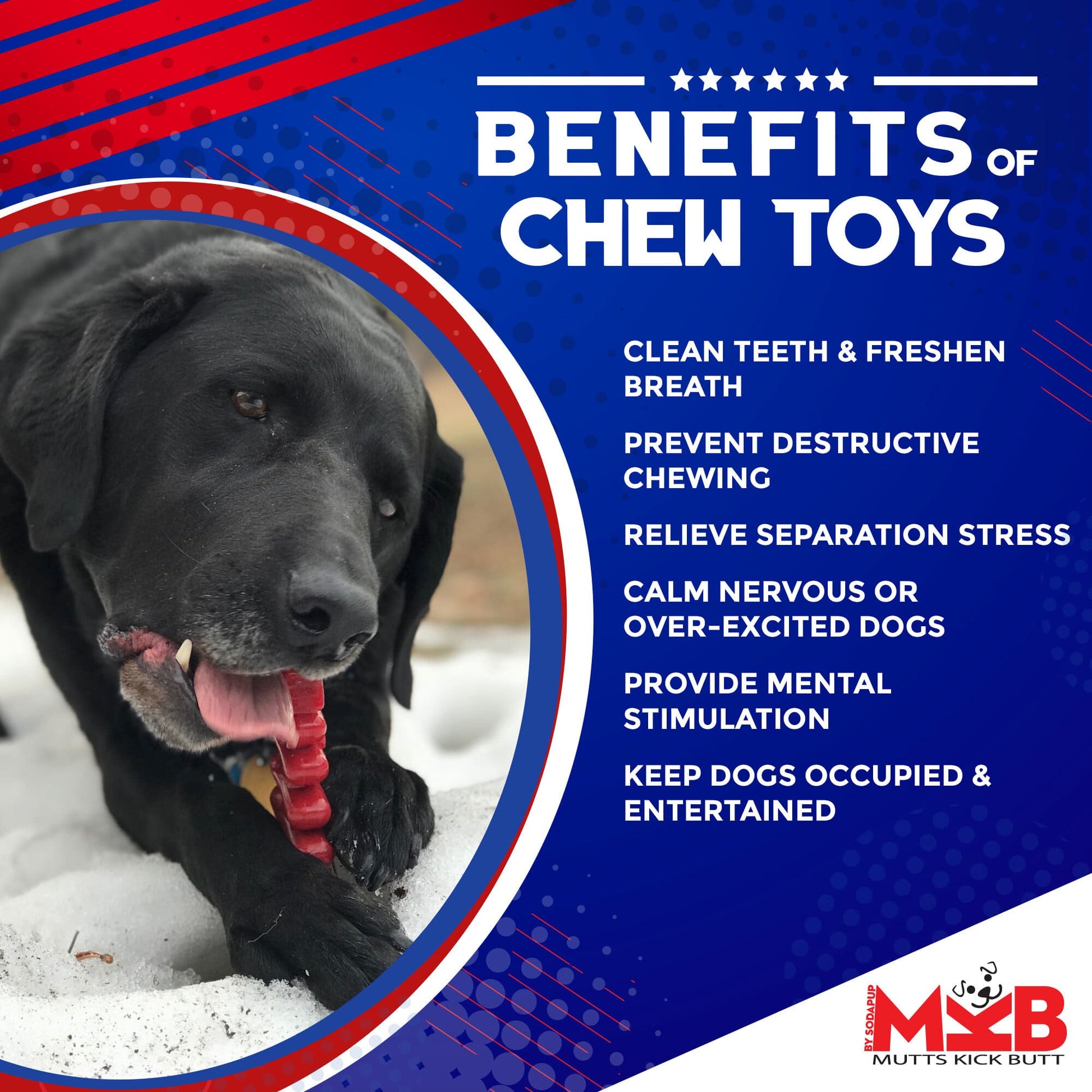 Christmas Tree Nylon Dog Chew Toy for Aggressive Chewers | USA Made & FDA Compliant Nylon Dog Toys SodaPup/True Dogs, LLC