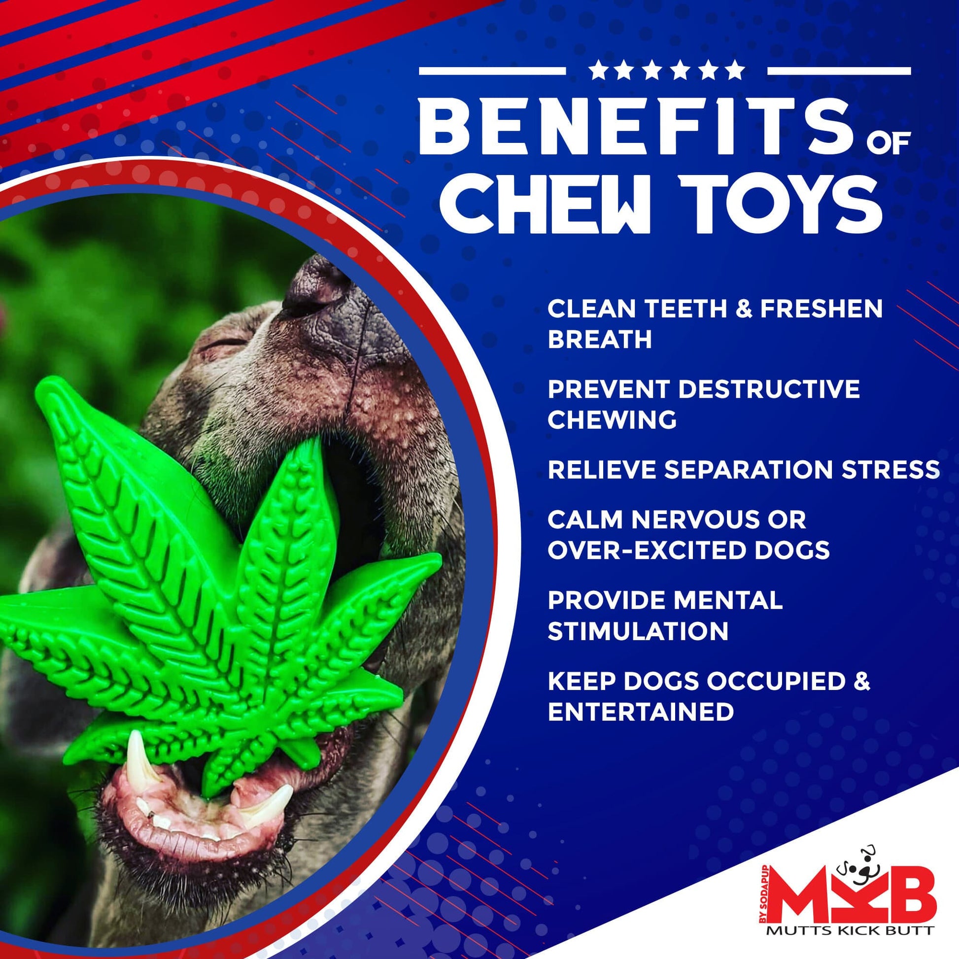 Colorado Maple Leaf Nylon Dog Chew Toy for Aggressive Chewers | USA Made Nylon Dog Toys SodaPup/True Dogs, LLC