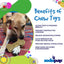 Bone eChew Ultra Durable Nylon Dog Chew Toy for Aggressive Chewers | USA Made Nylon Dog Toys SodaPup/True Dogs, LLC