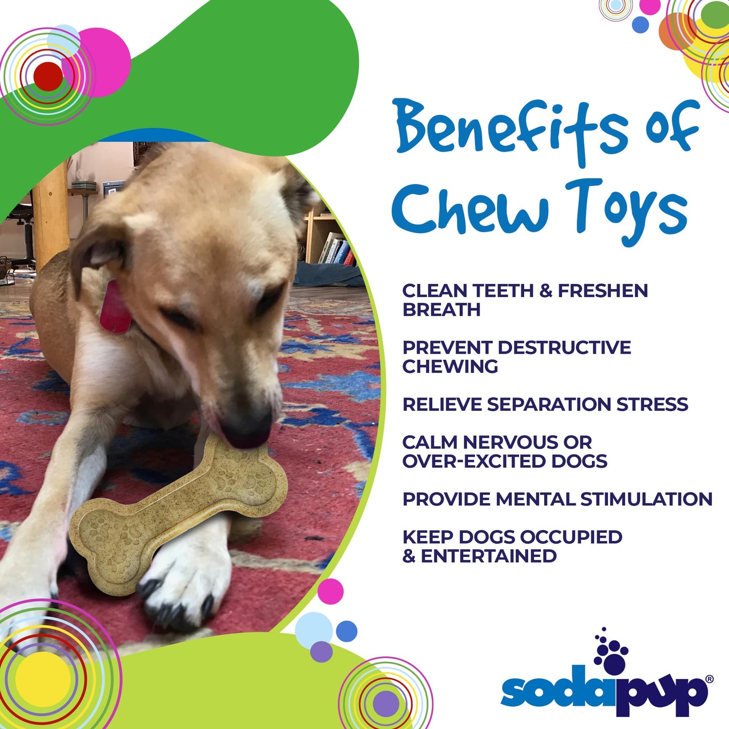 Bone eChew Ultra Durable Nylon Dog Chew Toy for Aggressive Chewers | USA Made Nylon Dog Toys SodaPup/True Dogs, LLC