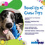 Bunny Nylon Chew Toy for Aggressive Chewers | Durable & USA Made Nylon Dog Toys SodaPup/True Dogs, LLC