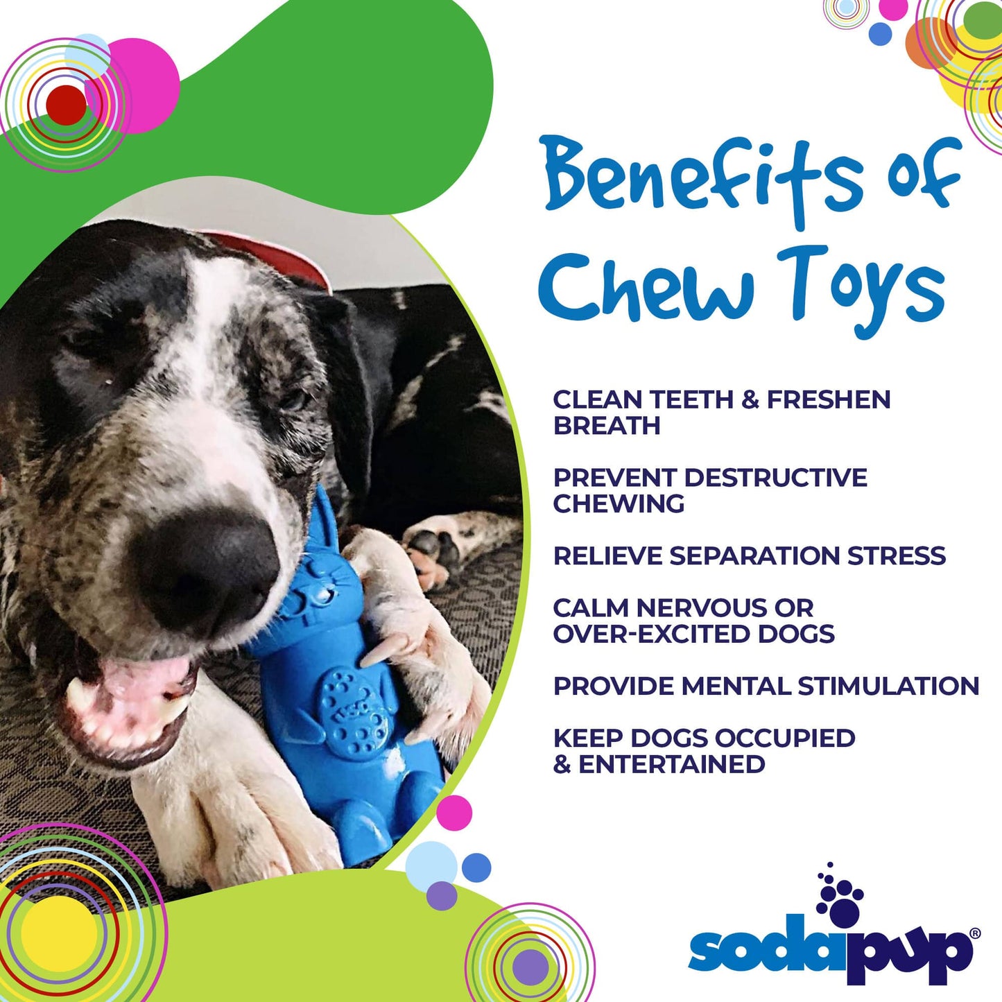 Bunny Nylon Chew Toy for Aggressive Chewers | Durable & USA Made Nylon Dog Toys SodaPup/True Dogs, LLC