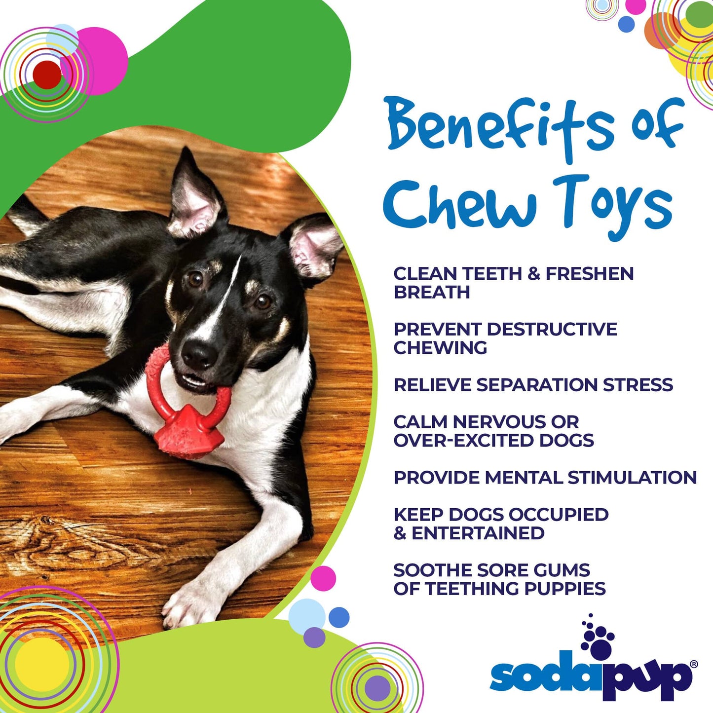 Diamond Ring Nylon Teething Ring for Puppies | Durable & USA Made Nylon Dog Toys SodaPup/True Dogs, LLC
