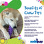Fish Bone Nylon Dog Toy for Aggressive Chewers | USA Made | SodaPup Nylon Dog Toys SodaPup/True Dogs, LLC