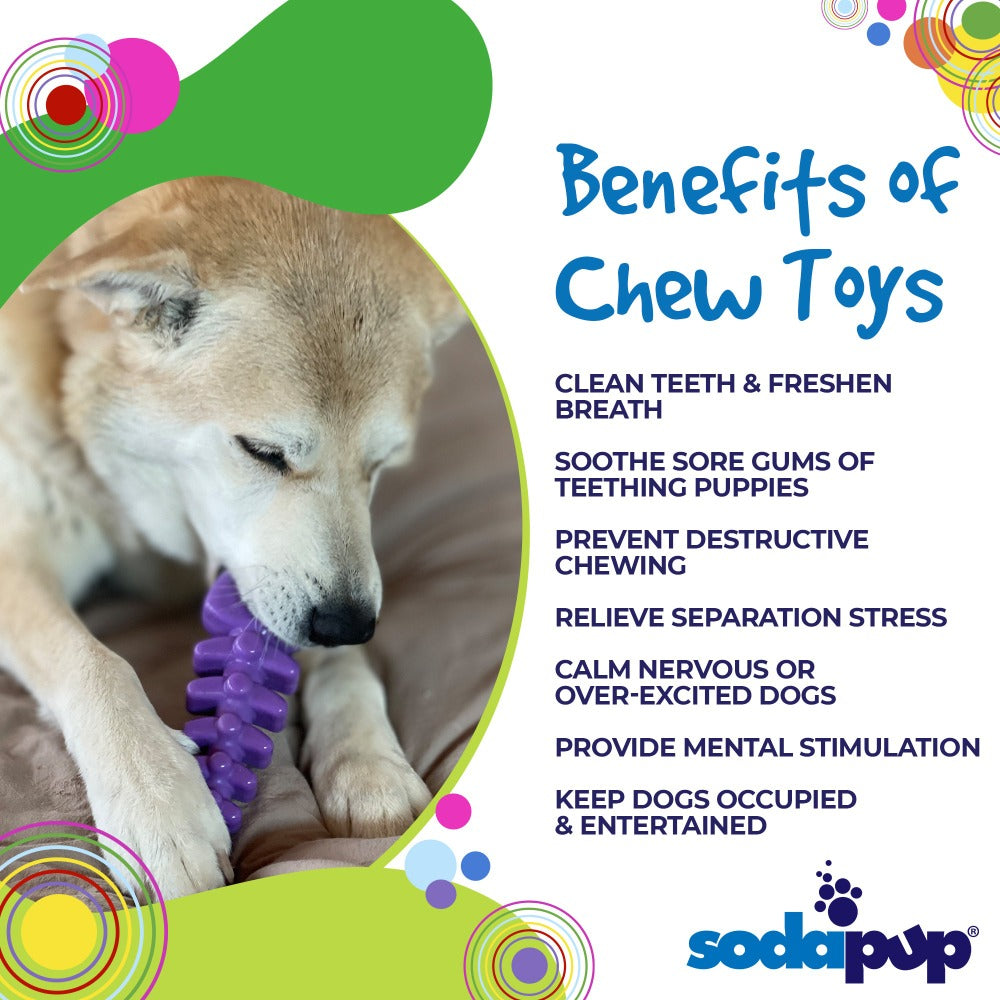 Fish Bone Nylon Dog Toy for Aggressive Chewers | USA Made | SodaPup Nylon Dog Toys SodaPup/True Dogs, LLC